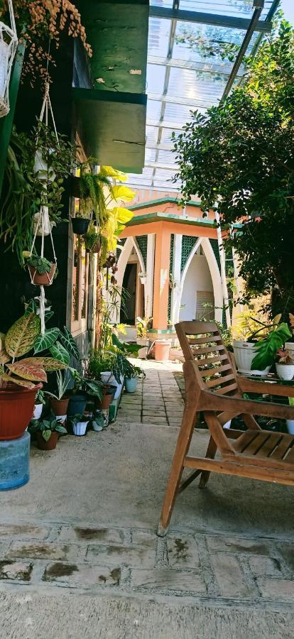 Latansa Homestay Banyuwangi  Exterior photo
